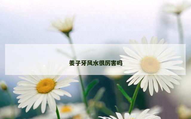 姜子牙风水很厉害吗