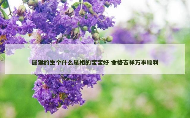 属猴的生个什么属相的宝宝好 命格吉祥万事顺利