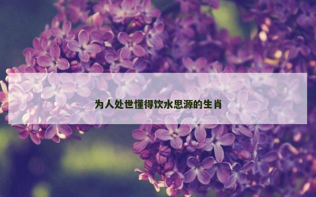 为人处世懂得饮水思源的生肖