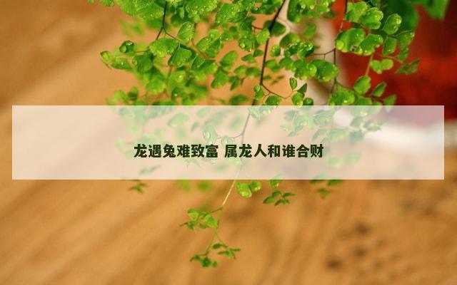 龙遇兔难致富 属龙人和谁合财