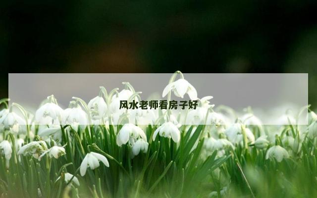 风水老师看房子好