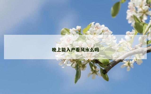 晚上能入户看风水么吗