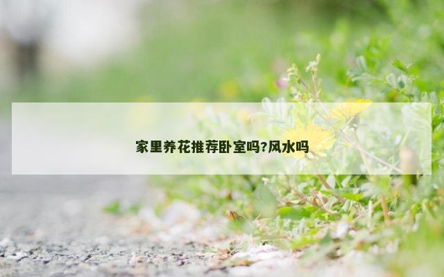 家里养花推荐卧室吗?风水吗