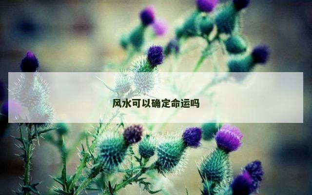 风水可以确定命运吗