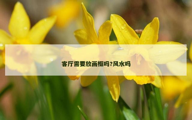 客厅需要放画框吗?风水吗