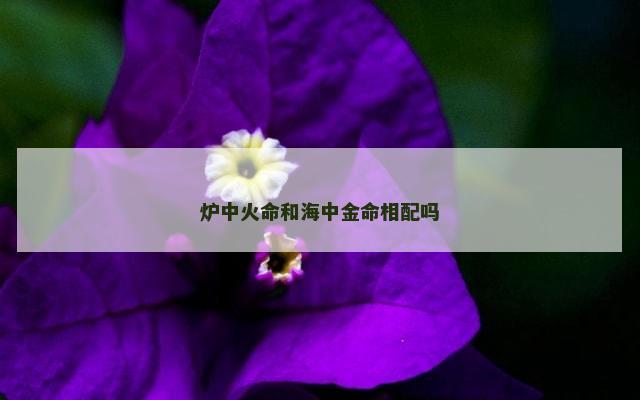 炉中火命和海中金命相配吗