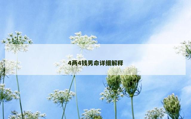 4两4钱男命详细解释