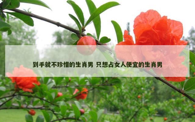到手就不珍惜的生肖男 只想占女人便宜的生肖男
