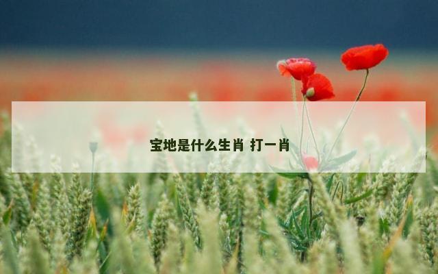 宝地是什么生肖 打一肖