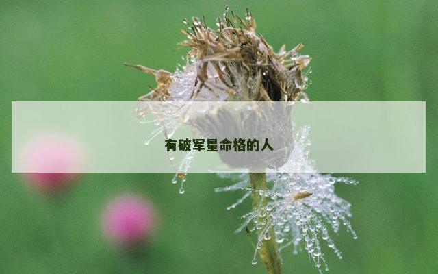 有破军星命格的人