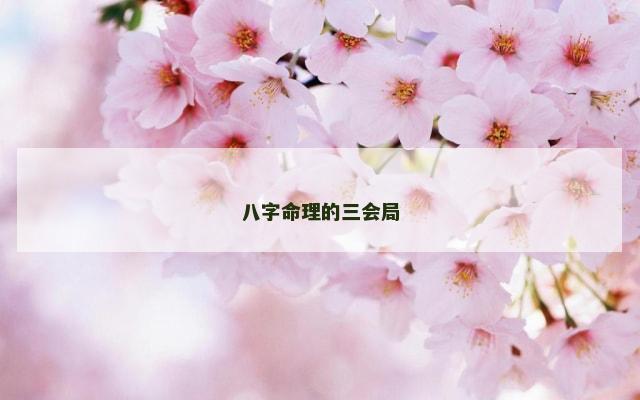 八字命理的三会局