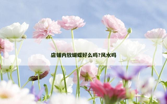 店铺内放蝴蝶好么吗?风水吗