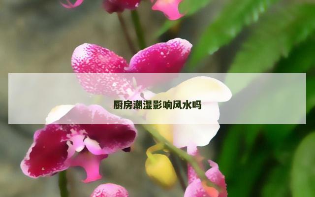 厨房潮湿影响风水吗