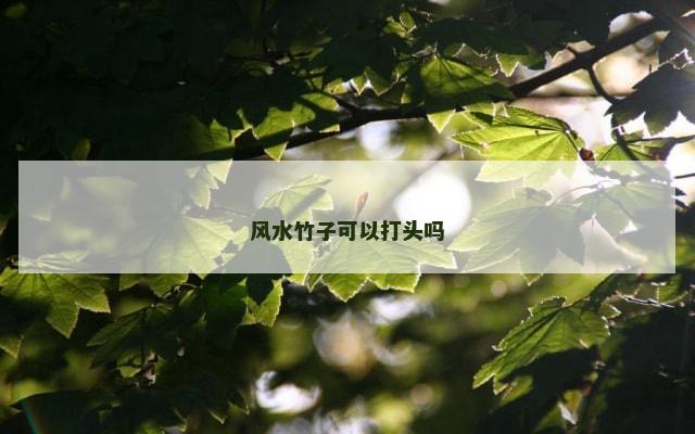 风水竹子可以打头吗