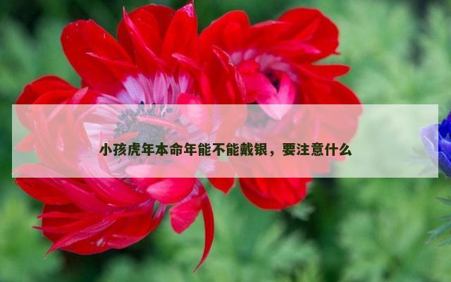 小孩虎年本命年能不能戴银，要注意什么