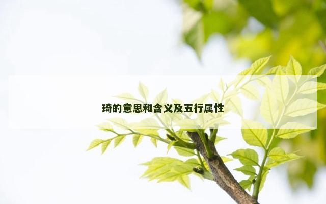 琦的意思和含义及五行属性