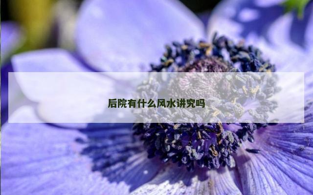 后院有什么风水讲究吗