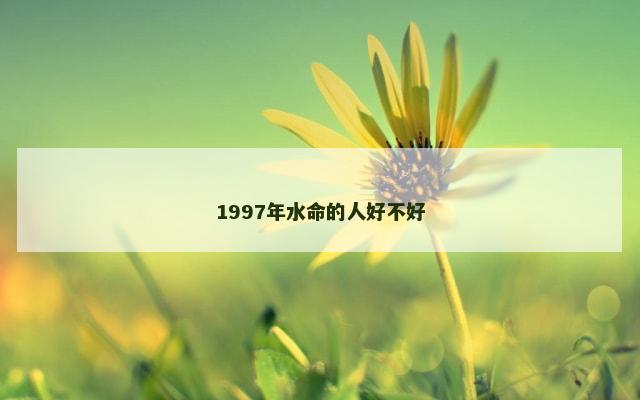 1997年水命的人好不好