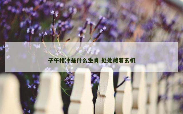 子午相冲是什么生肖 处处藏着玄机