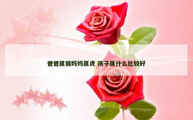 爸爸属猴妈妈属虎 孩子属什么比较好
