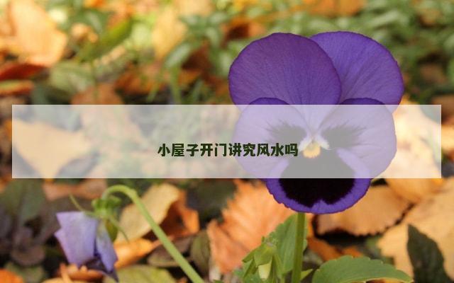 小屋子开门讲究风水吗