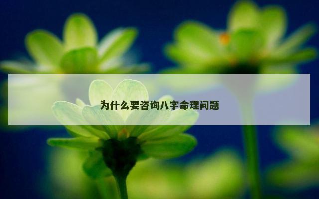 为什么要咨询八字命理问题