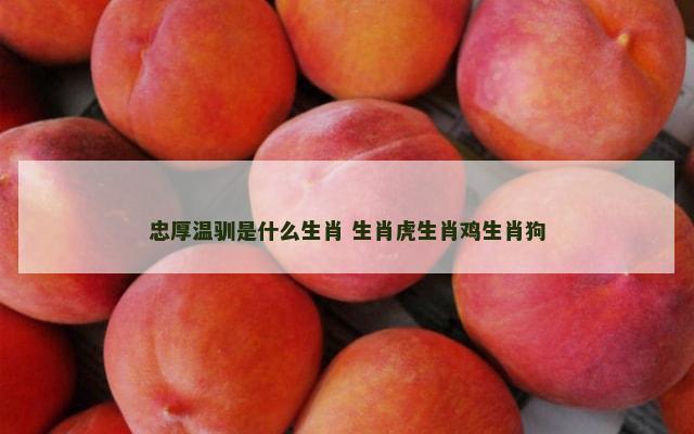 忠厚温驯是什么生肖 生肖虎生肖鸡生肖狗