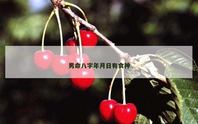 男命八字年月日有食神