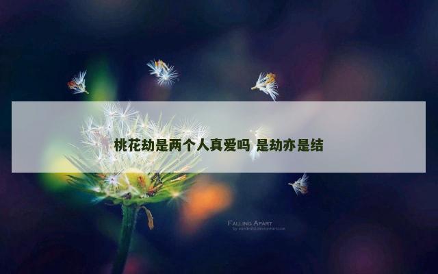 桃花劫是两个人真爱吗 是劫亦是结