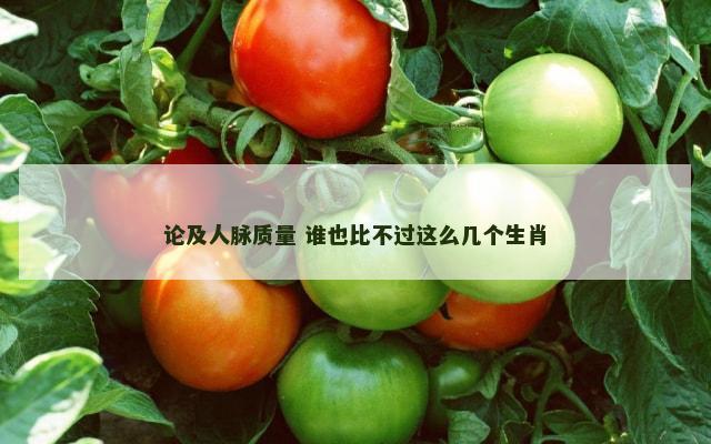 论及人脉质量 谁也比不过这么几个生肖