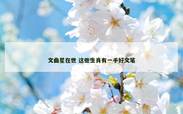 文曲星在世 这些生肖有一手好文笔
