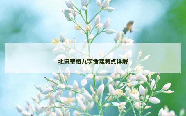 北宋宰相八字命理特点详解
