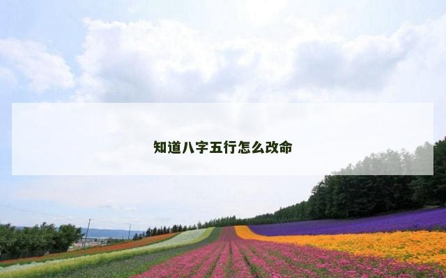 知道八字五行怎么改命