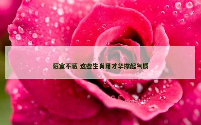 陋室不陋 这些生肖用才华撑起气质