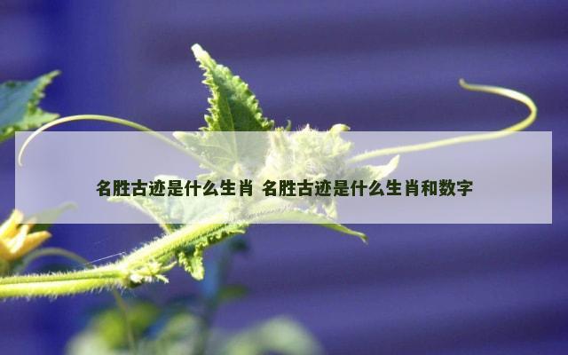 名胜古迹是什么生肖 名胜古迹是什么生肖和数字