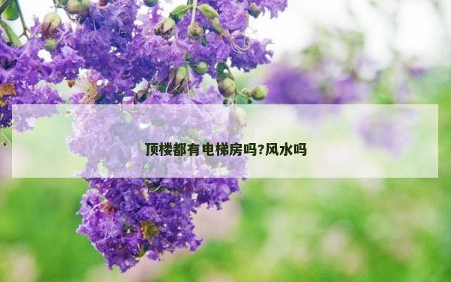 顶楼都有电梯房吗?风水吗