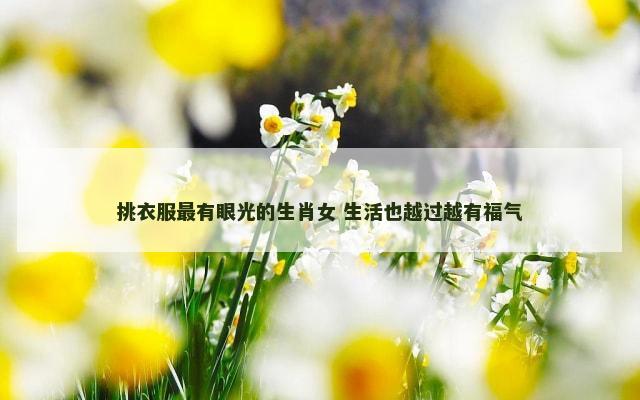 挑衣服最有眼光的生肖女 生活也越过越有福气
