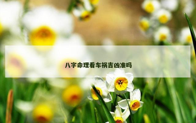 八字命理看车祸吉凶准吗