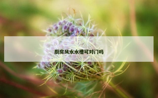 厨房风水水槽可对门吗