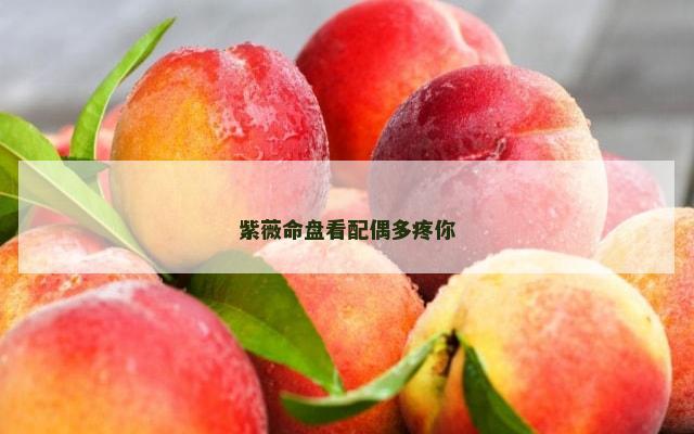 紫薇命盘看配偶多疼你