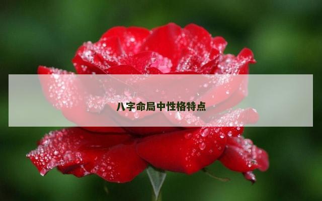 八字命局中性格特点