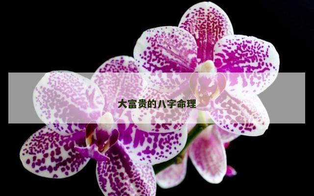 大富贵的八字命理