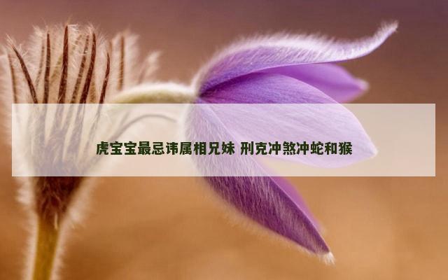 虎宝宝最忌讳属相兄妹 刑克冲煞冲蛇和猴