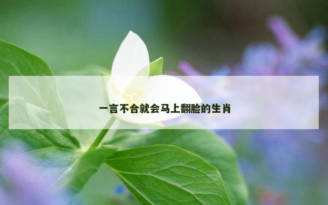 一言不合就会马上翻脸的生肖