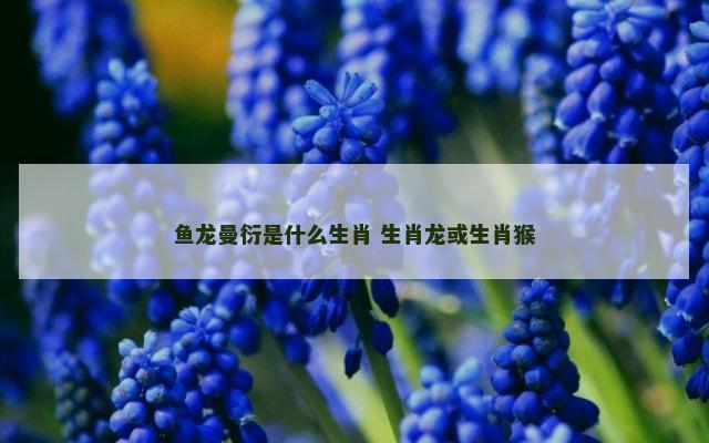 鱼龙曼衍是什么生肖 生肖龙或生肖猴