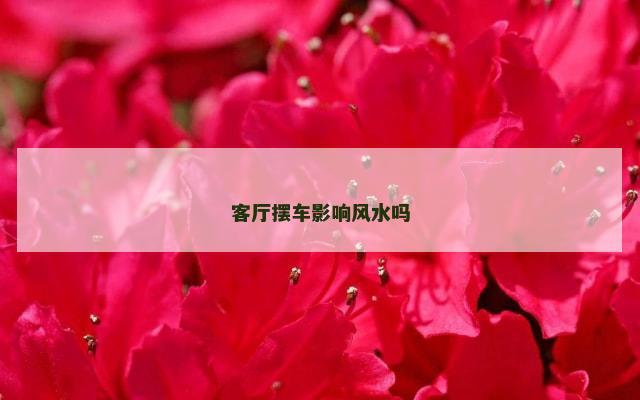 客厅摆车影响风水吗