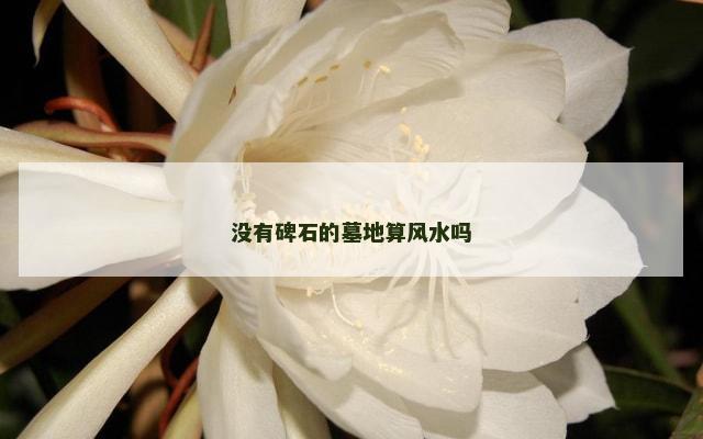 没有碑石的墓地算风水吗