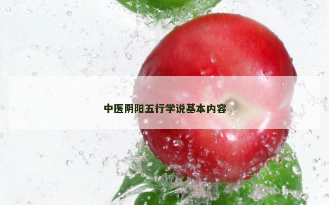 中医阴阳五行学说基本内容