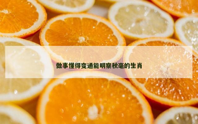做事懂得变通能明察秋毫的生肖