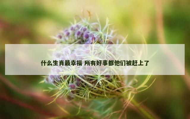 什么生肖最幸福 所有好事都他们被赶上了